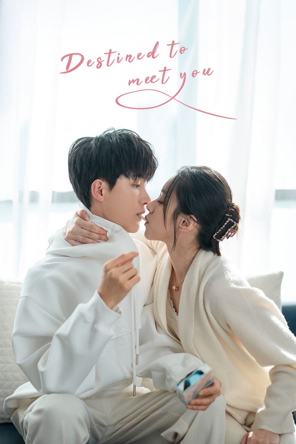 Destined To Meet You (2022 Chinese Drama)